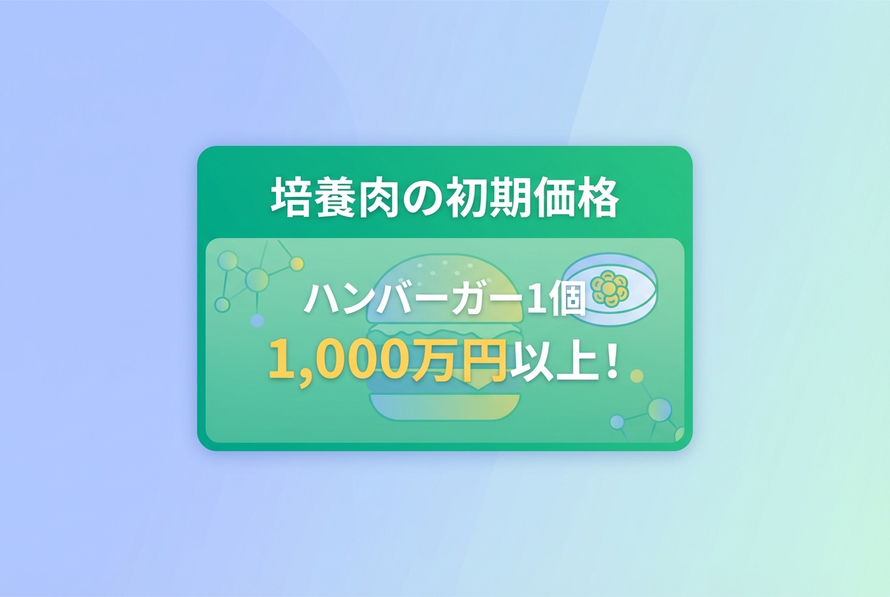 ハイライト画像