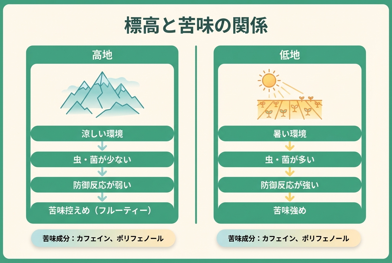 ハイライト画像